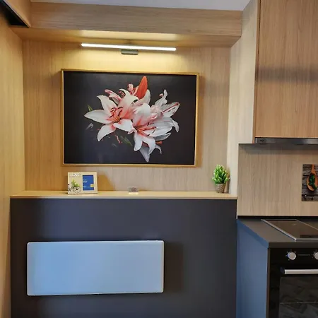 Lux - Aroma Appartement Bjelašnica